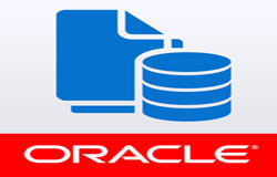 Oracle数据库管理工具有哪些?-北京milan米兰（中国）体育官方网站公司