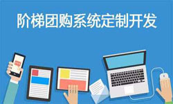 拼购电商系统APP软件定制开发、什么是拼购系统？-北京milan米兰（中国）体育官方网站