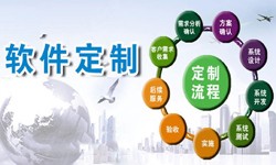 定制milan米兰（中国）体育官方网站现在来说还有优势吗？北京软件外包