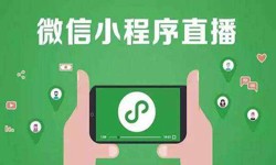 微信小程序开发、直播小程序开发-milan米兰（中国）体育官方网站milan米兰（中国）体育官方网站公司 