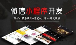 milan米兰（中国）体育官方网站公司、定制微信小程序开发，商家需要了解哪些？milan米兰（中国）体育官方网站milan米兰（中国）体育官方网站
