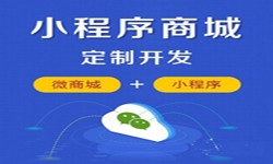 微信小程序开发、商城小程序开发功能-milan米兰（中国）体育官方网站milan米兰（中国）体育官方网站