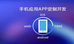 APP开发市场上常见问题分析-北京milan米兰（中国）体育官方网站公司